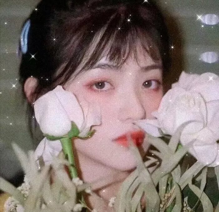 科莱特，一个自由的女子